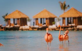 Renaissance Wind Creek Aruba Resort